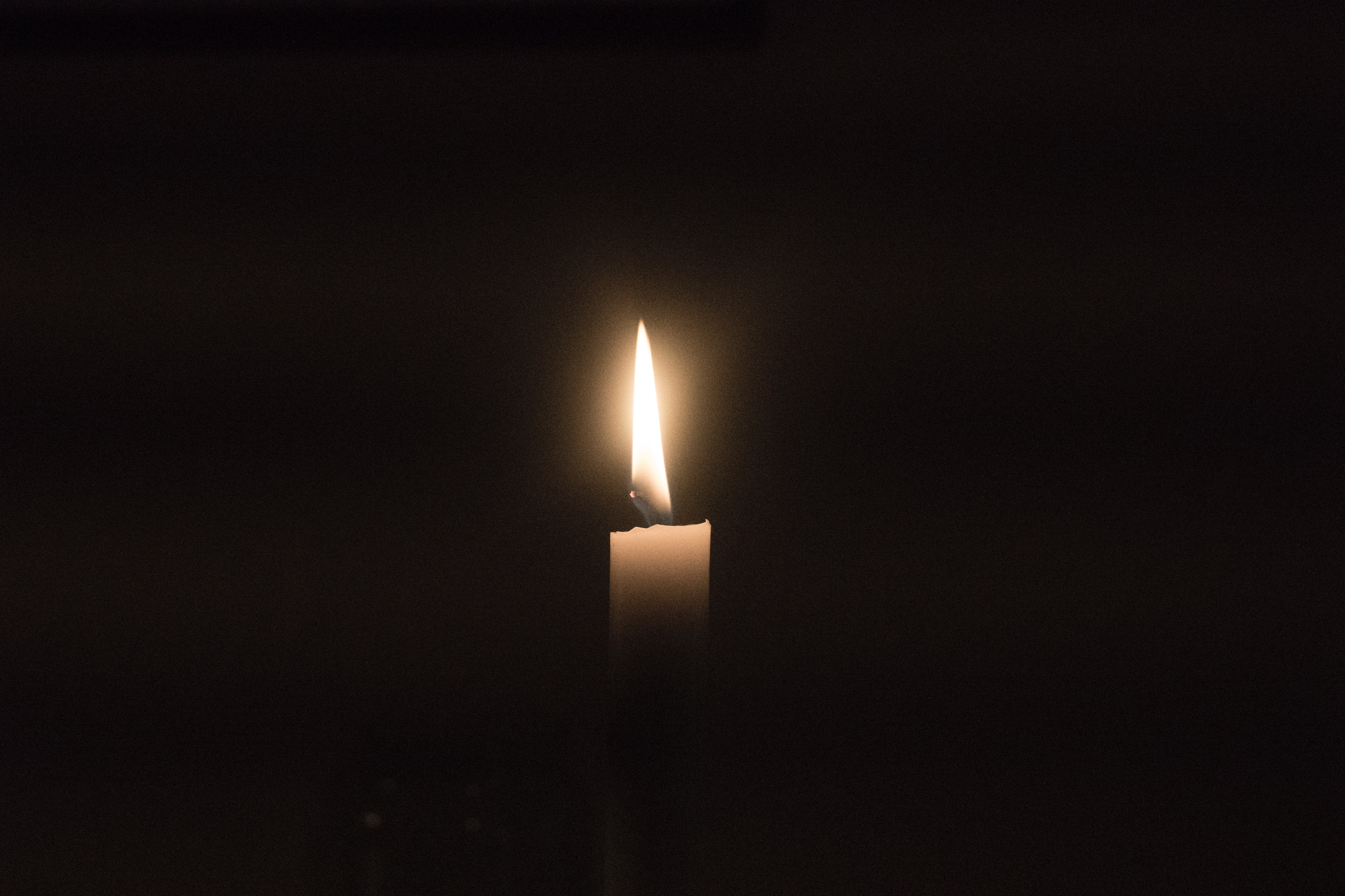 jarl-schmidt-8qgFNfC2oAI-unsplash image